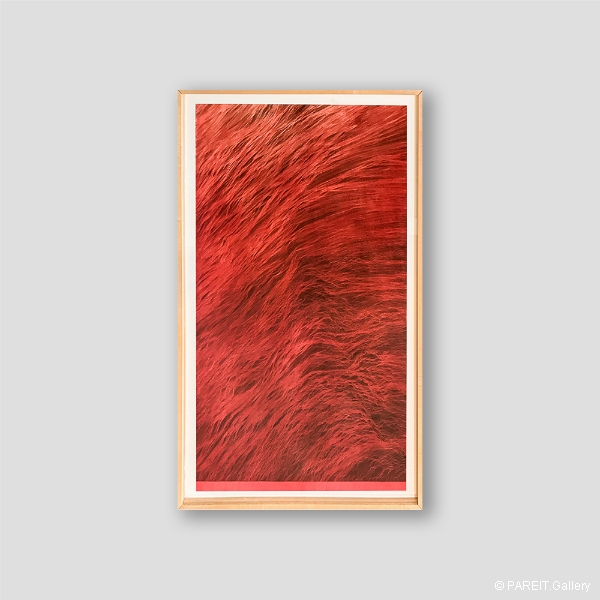 ESCUDERO Juan - Red Wave II